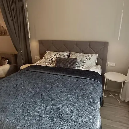 Meskutes Apartamentai Lägenhet Druskininkai