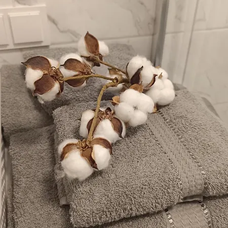 Lägenhet Meskutes Apartamentai