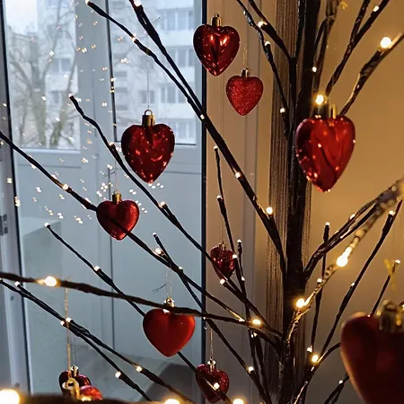 Meskutes Apartamentai Appartamento Druskininkai