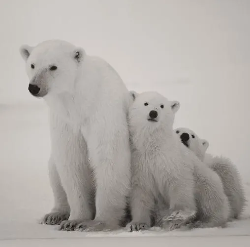 דירה Meskutes Apartamentai