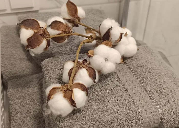 Apartment Meskutes Apartamentai