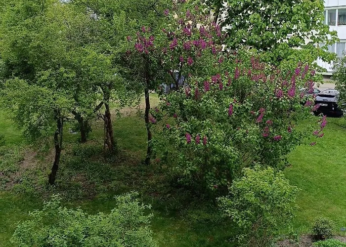 Meskutes Apartamentai * דרוסקינינקאי